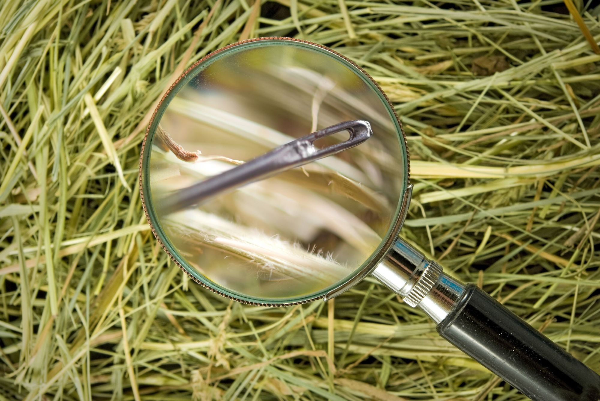 Looking for the needle in a haystack (Photo:AdobeStock)