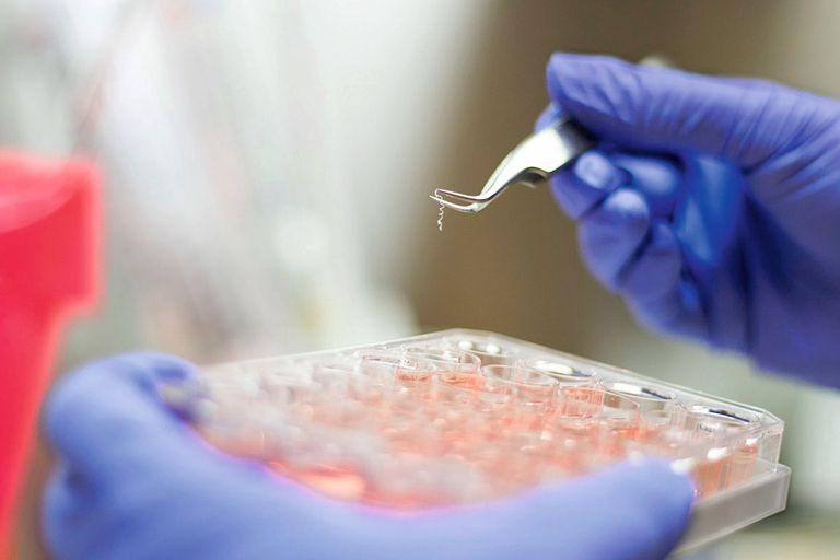 Clinical Trials at Swiss TPH