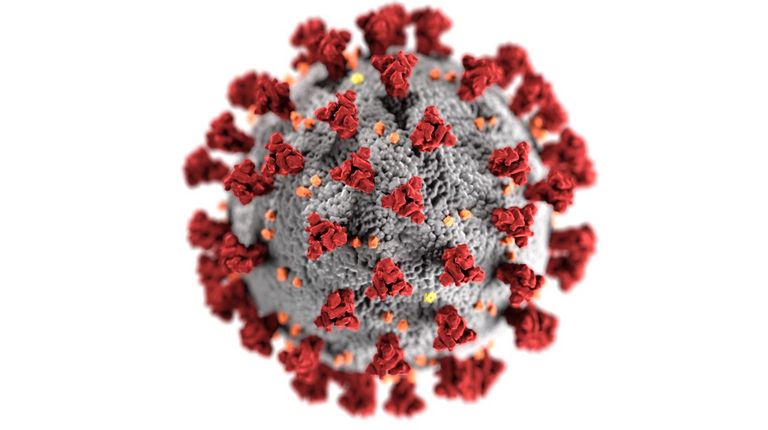 Coronavirus SARS-CoV-2 Diagnostic