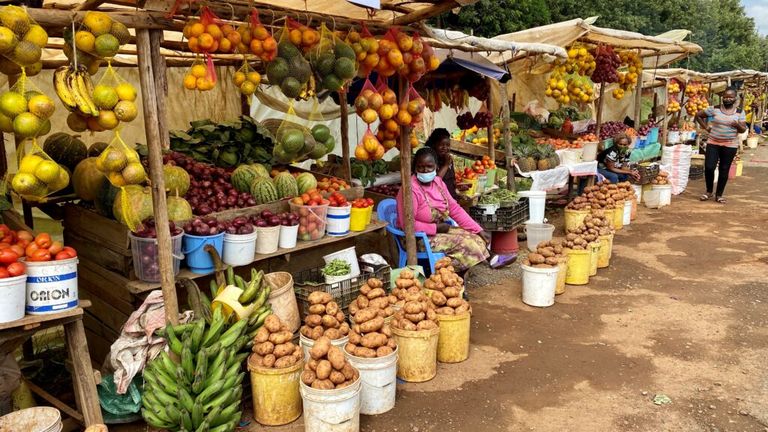 NICE - Nutrition in City Ecosystems