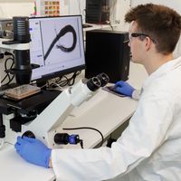 Infectious diseases: innovative solutions for global health