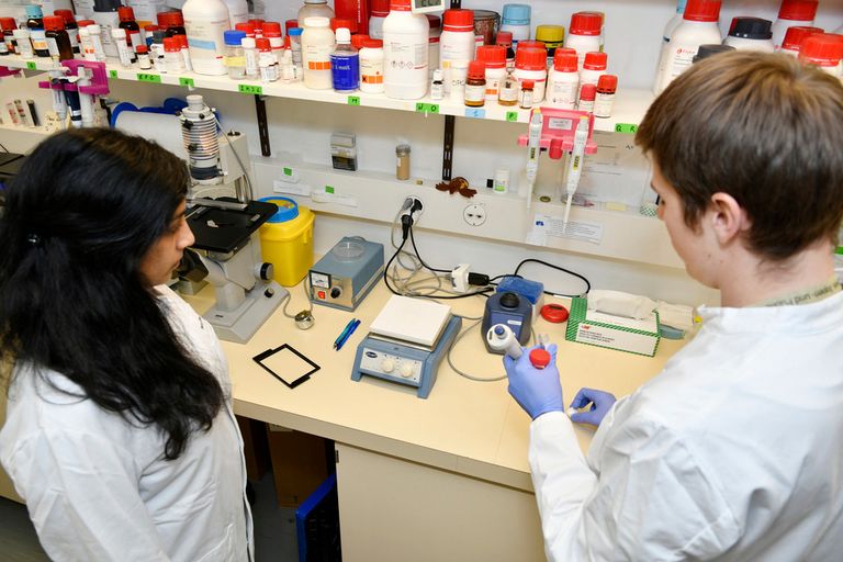 Patient-oriented Research