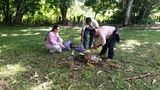 img-