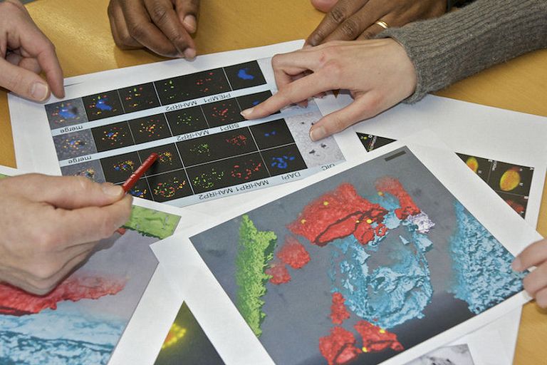 Infection Biology and Health