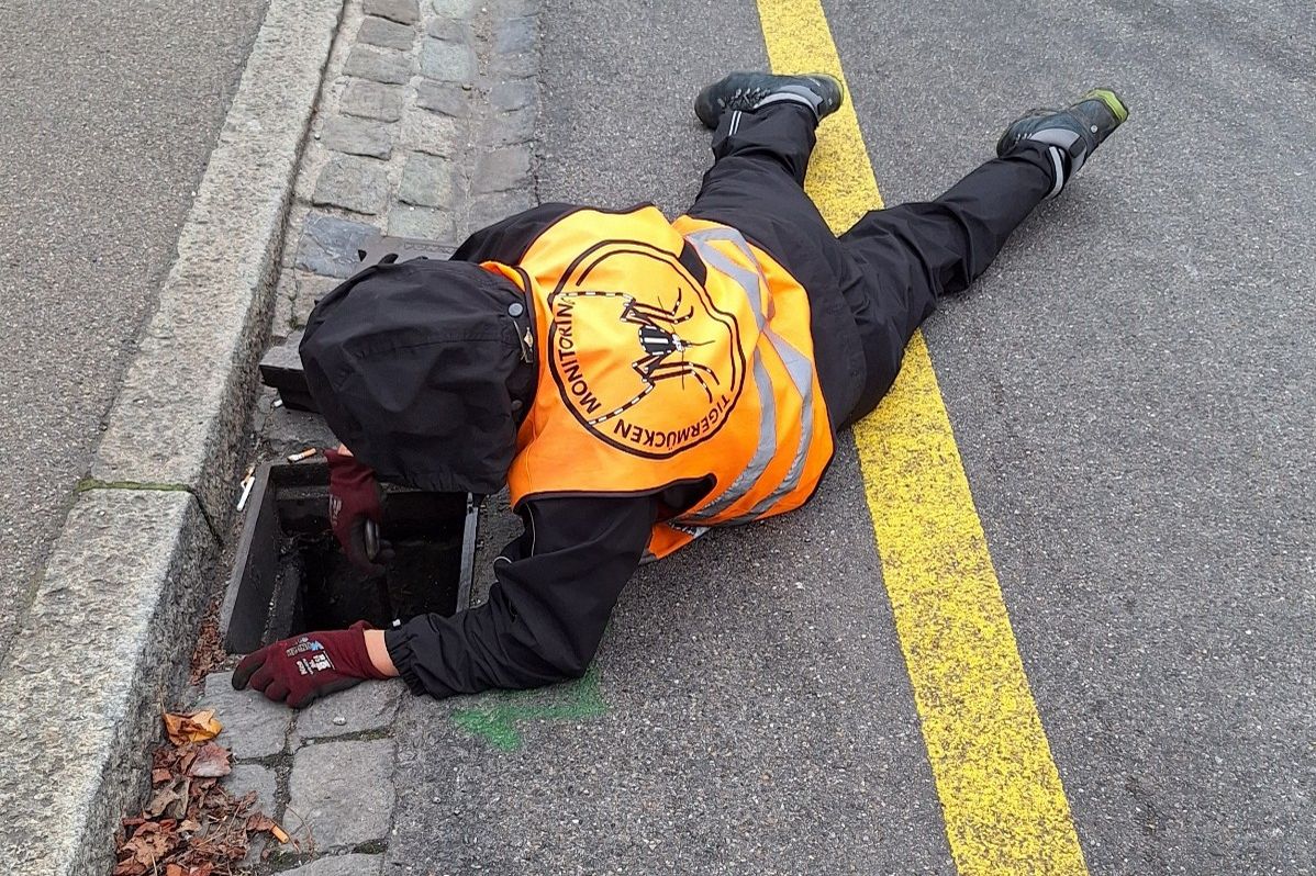 Storm drain inspection in the frame of the Asian tiger mosquito monitoring (Photo: Swiss TPH)