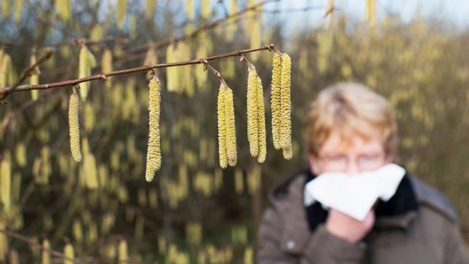 Person mit Heuschnupfen niest. (Foto: AdobeStock/Swiss TPH)