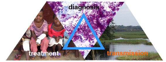 Neglected Tropical Diseases (NTDs)