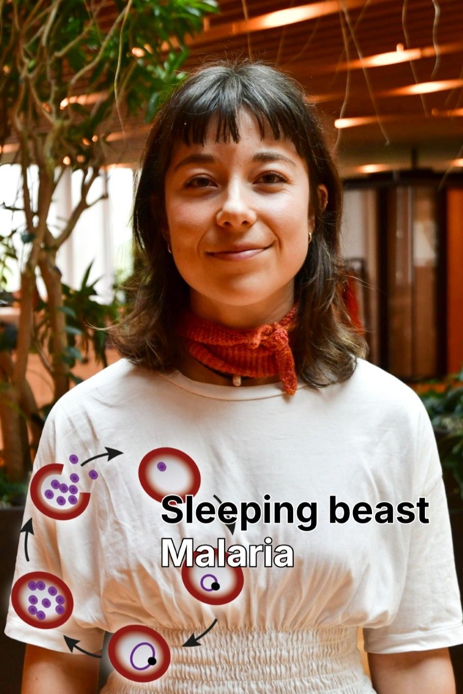 Leonie Seefeldt explores the dormant stages of malaria  