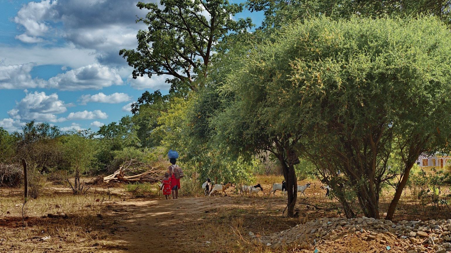 Mother and child in rural setting in Mozambique (Photo: AdobeStock)