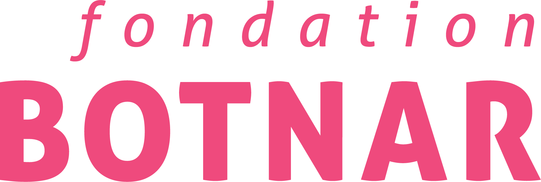 Foundation Botnar Logo