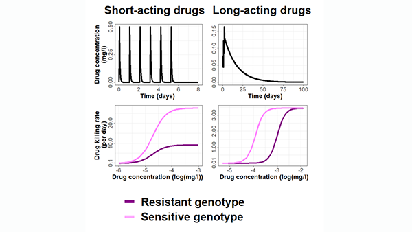 Optimising disease elimination strategy on malaria drug resistance