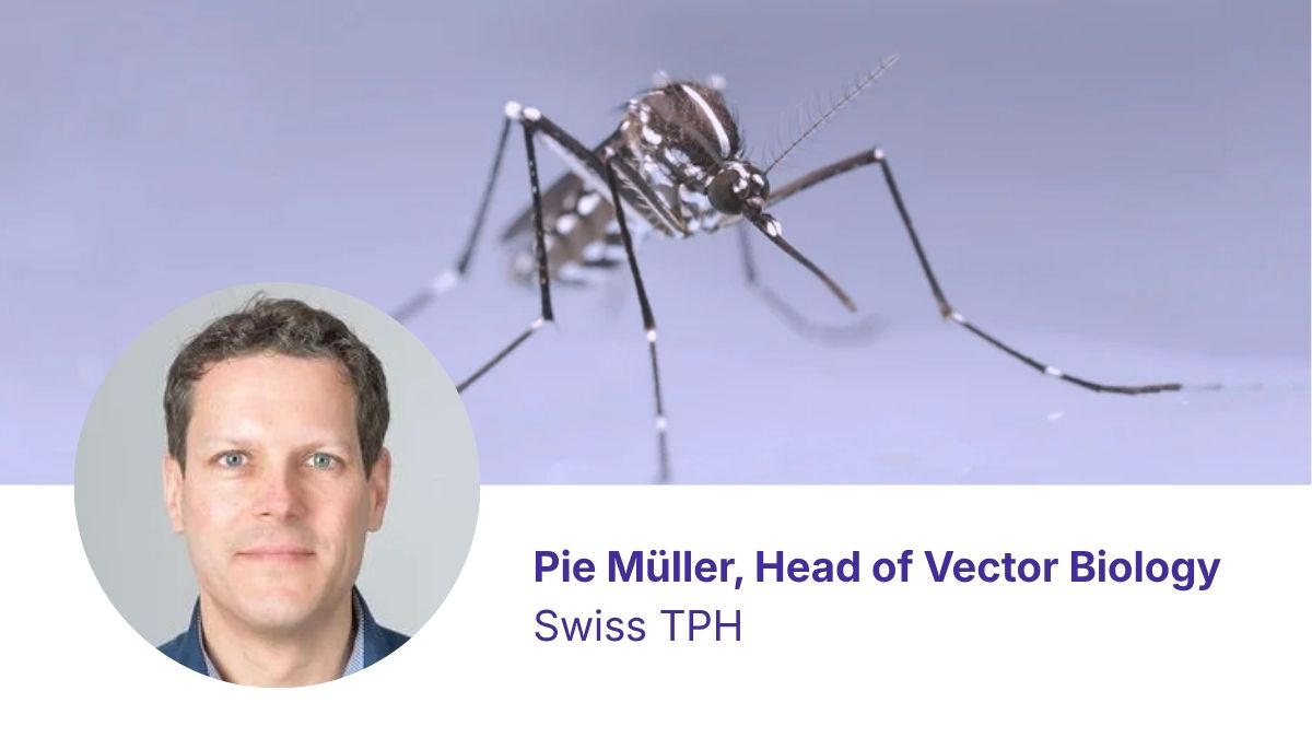 Portrait of Dr. Pie Müller and close-up of a tiger mosquito (Photos: Swiss TPH and N. Henon/TIGER)