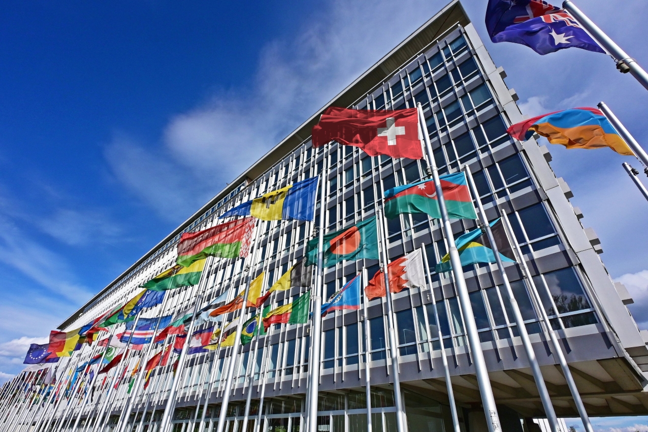 Multiple national flags in front of a building (Photo: AI)