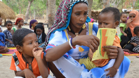 PADS - Support Project for the Health Districts in Chad