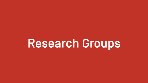 Research Groups